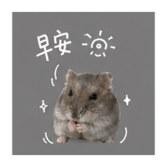 勾錐臭豆腐