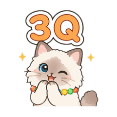 Angel cat16