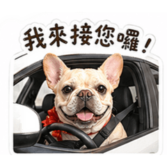黏黏帶你趴趴走