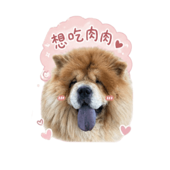 我是鬆獅法妹妹