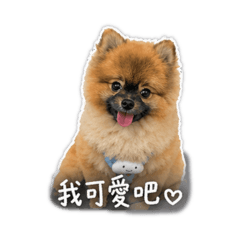 小mymy