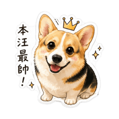 Q版阿尼基ʕ •ᴥ•ʔ