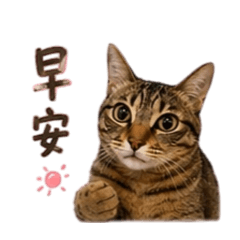 ㄚ呼Hi