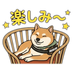 TAKUMI_20260509013603