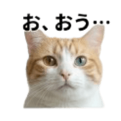Kazunoko_20260509073019