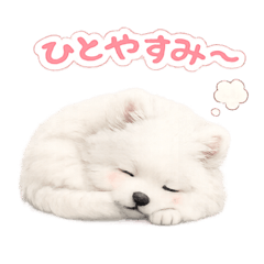 mofu mofu,,s