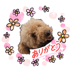 Hiroko kobori_20260509145230