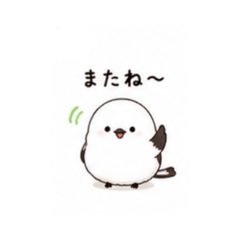 teru_20260509162143