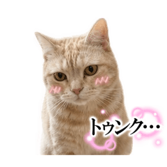 MILO_20260509165750