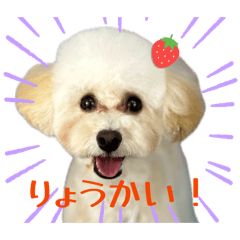 tete_20260509202940