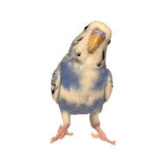 i_20260509170140