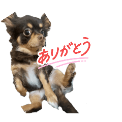 zakki-_20260509202653