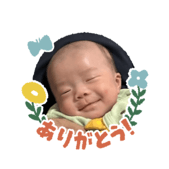 manae_20260509203055
