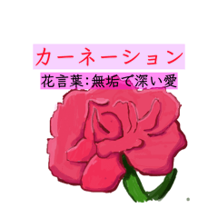 K.S_20260509204303