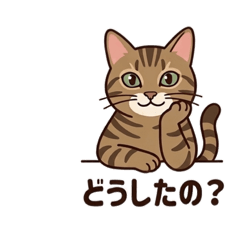 YO KU_20260509204352