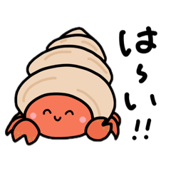pon_20260509204240