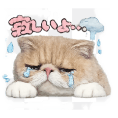 mugitan_20260509204944