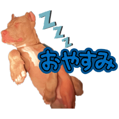 k_20260509205336