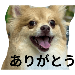yu_20260509205104