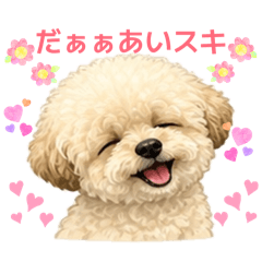 Yukiko_20260509205026