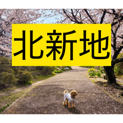 I'm Maruhiro_20260509205152