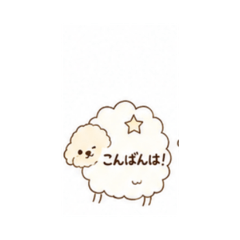 teru_20260509203806