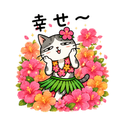 Tsundere Cat Hula Dance