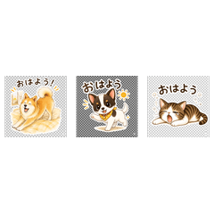 Yomogi, Ume & Tsuyu"