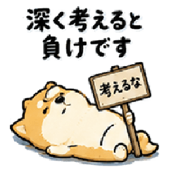 A funny Shiba Inu.[Jokes & Puns]