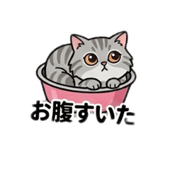Tinako_20260430191504