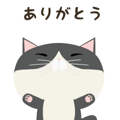 Black-and-White Cat's Thank You Stickers