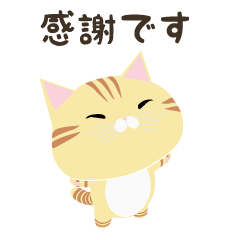 An Orange Tabby Cat's Thank You Stickers