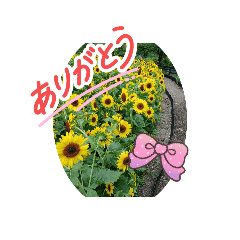 nyaru.nyaru