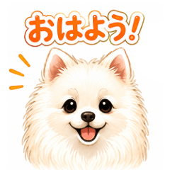 Fluffy Pomeranian Daily Stickers!