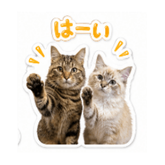 MANONEKO_20260509175833