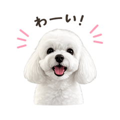 Chizo