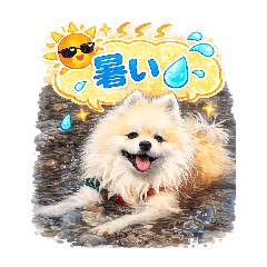 NOAH_20260509180044