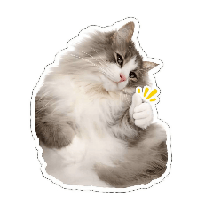 Altair stamp