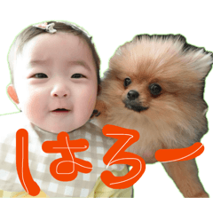 yre_20260509180018
