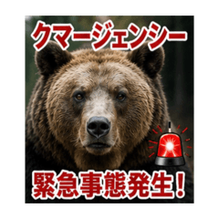 hitomin_20260509181921