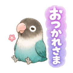 Wamutai_20260509180501