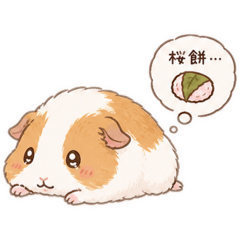 caramel_20260509205122