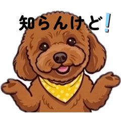 TANO shisa_20260510131900