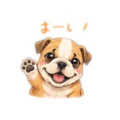 Burudoggu Bruno