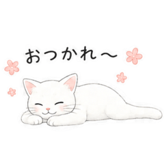 hoshi1000_20260509204844