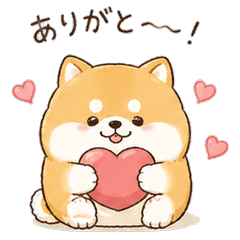 Mochi Shiba's Daily Life 40