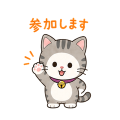 Marumon5