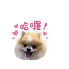 饅頭底家啦