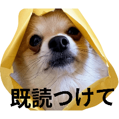 yu_20260509211604