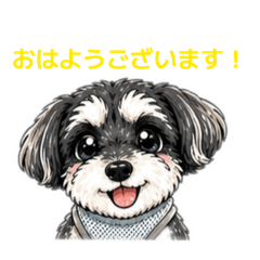 yoshio_20260509211614